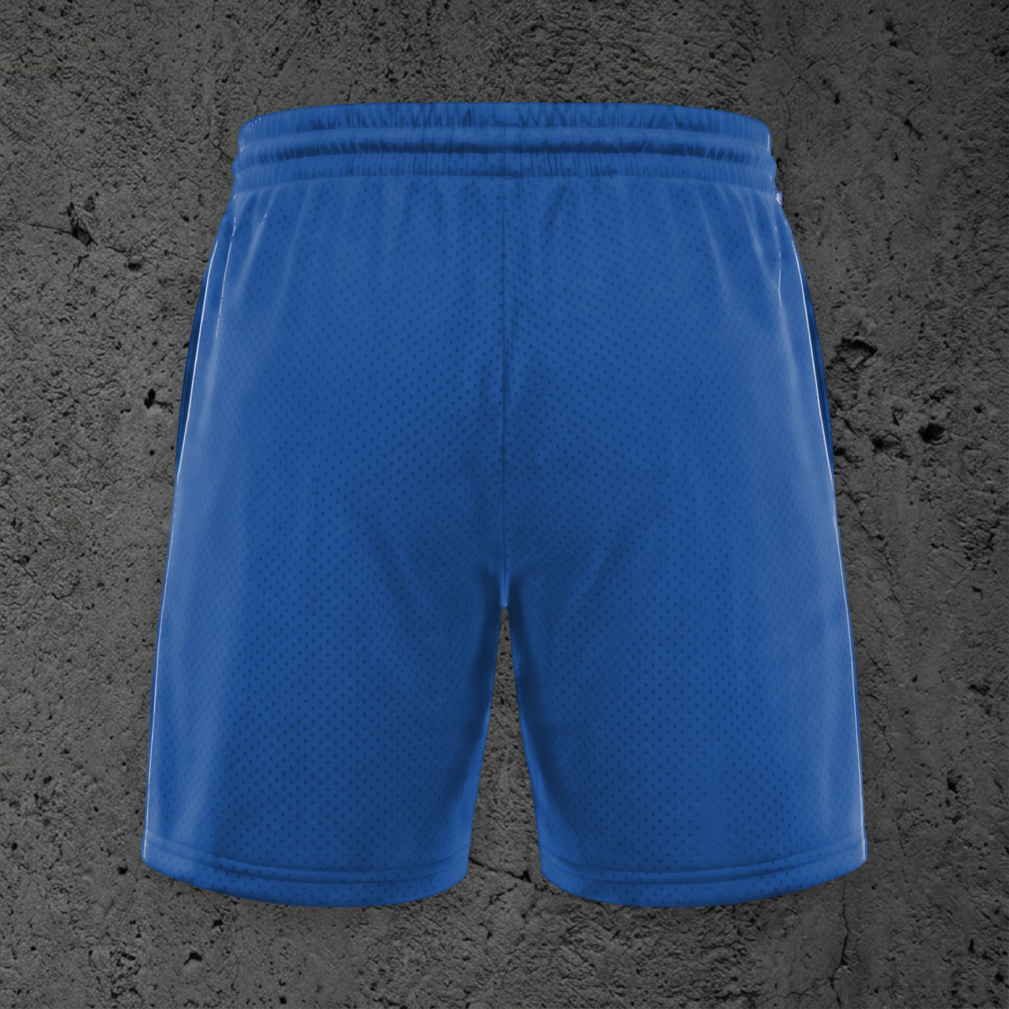The Crossed Out Mesh Drawstring Short in Cobalt, back view